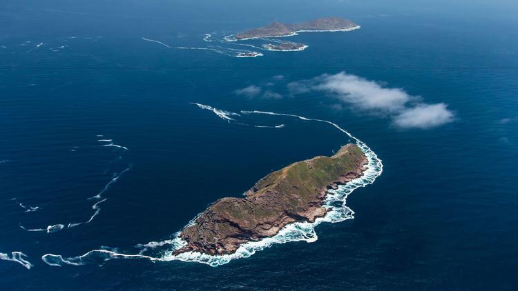 Mexico Decrees Pacific Islands Biosphere Reserve off Baja California's Pacific Coast