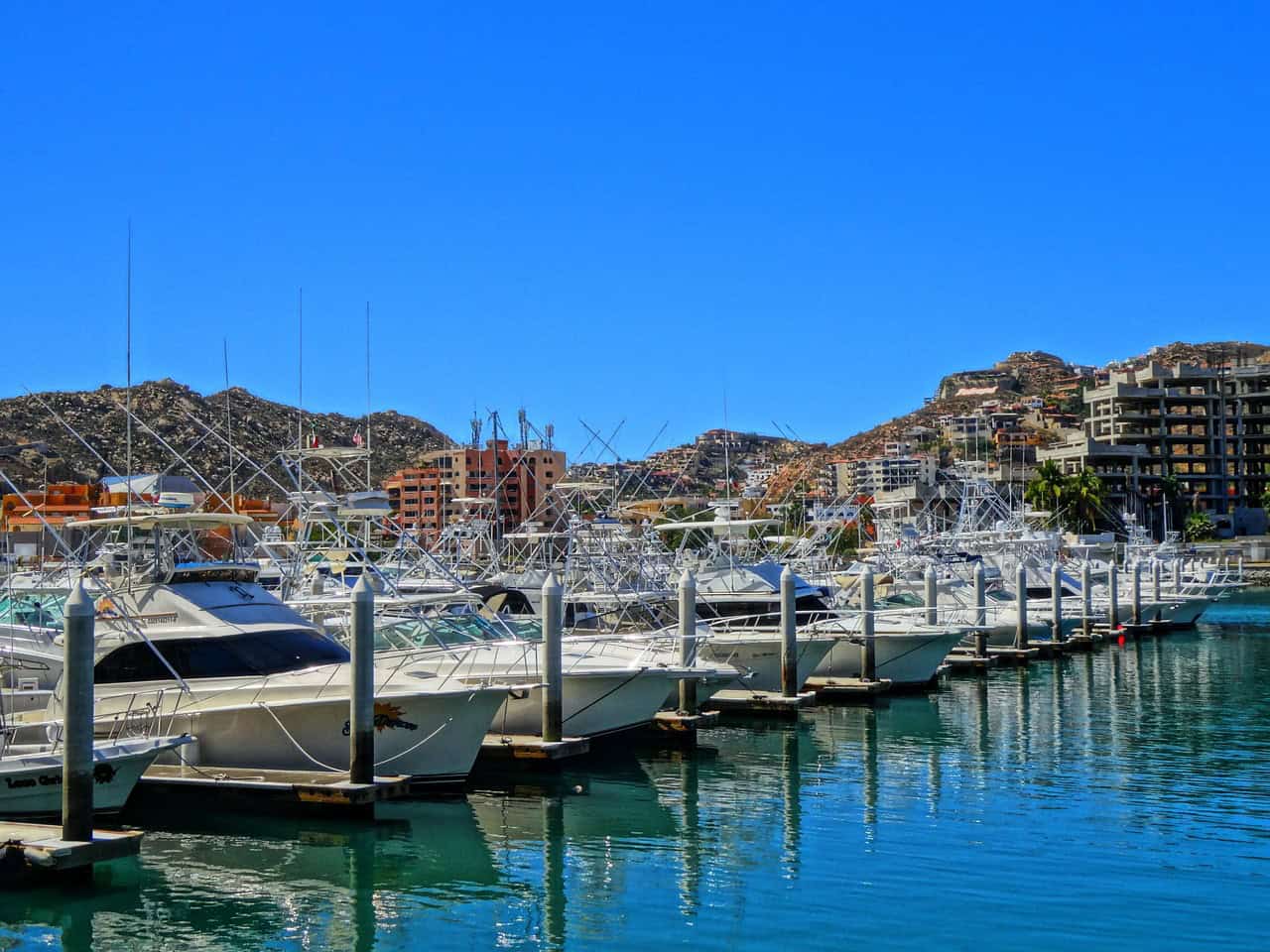 Marina Los Cabos