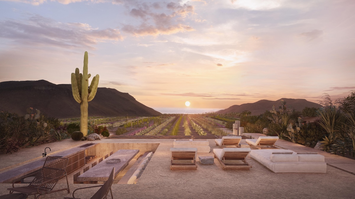 Casa Neem, Todos Santos